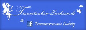 Banner Webseite